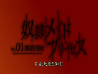 奴隶女仆公主 Vol.01～调教开始～ DG-032海报剧照