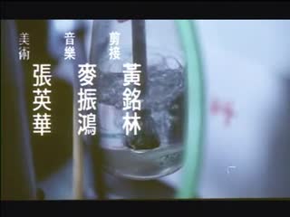 整容 (1995)