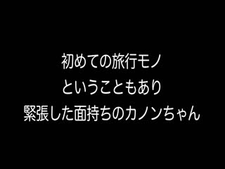 单身旅行证件SNS话题模特班级最强风范女儿中条加农和冲绳私人性旅行海报剧照