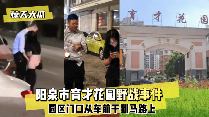 【惊天大瓜】阳泉市育才花园野战事件~园区门口从车前干到马路上~!海报剧照